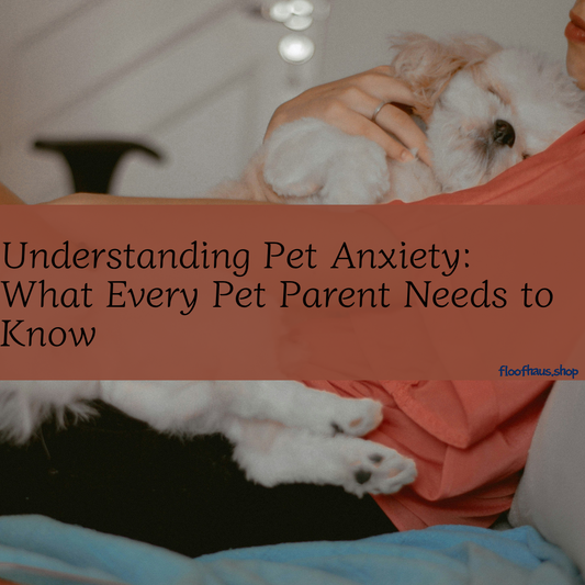 Understanding Pet Anxiety: What Every Pet Parent Needs to Know