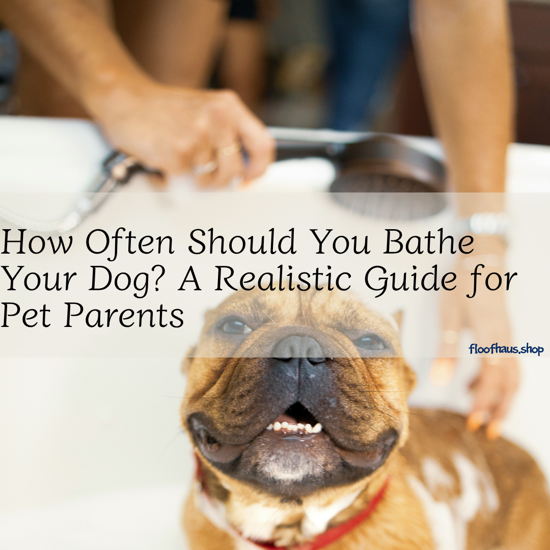 How Often Should You Bathe Your Dog? A Realistic Guide for Pet Parents