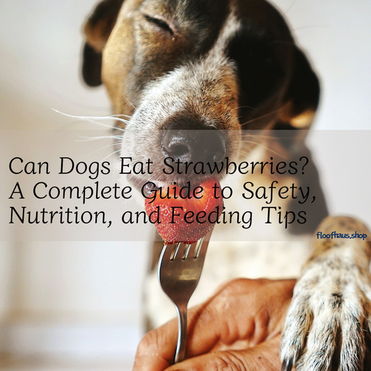 Can Dogs Eat Strawberries?  A Complete Guide to Safety, Nutrition, and Feeding Tips