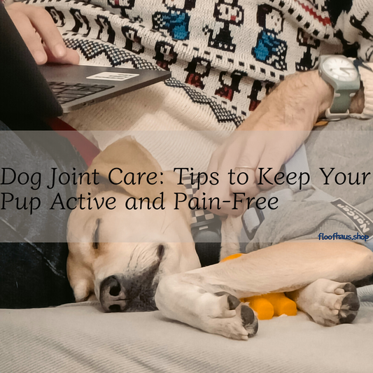 Dog Joint Care: Tips to Keep Your Pup Active and Pain-Free