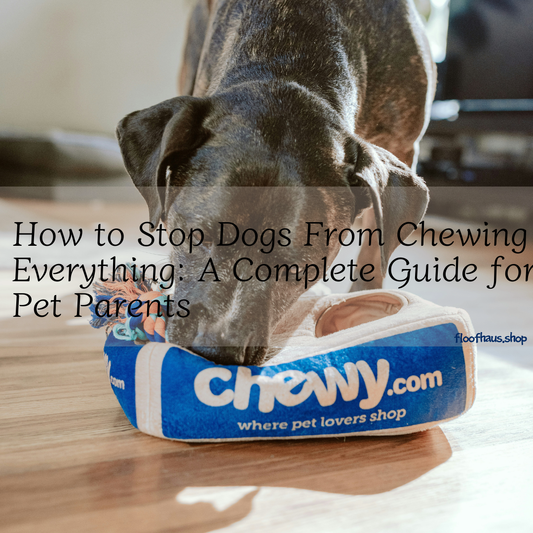 How to Stop Dogs From Chewing Everything: A Complete Guide for Pet Parents