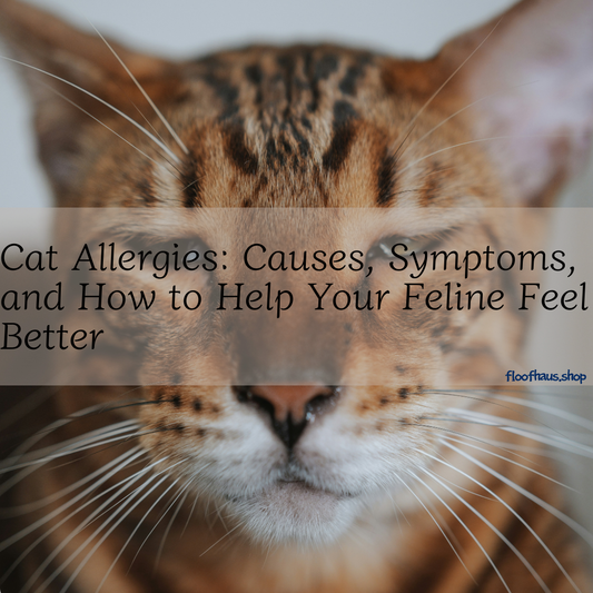 Cat Allergies: Causes, Symptoms, and How to Help Your Feline Feel Better