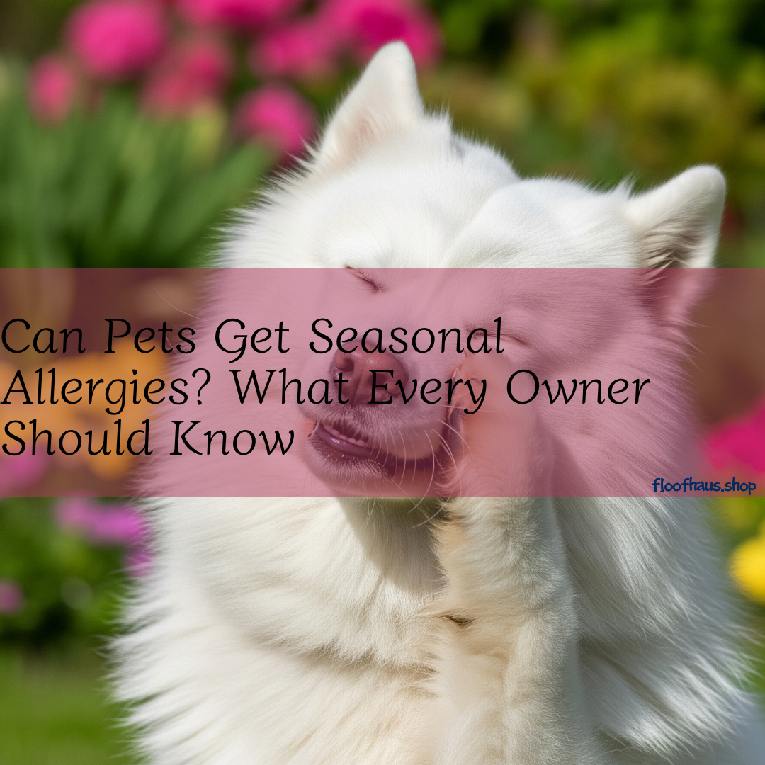 Can Pets Get Seasonal Allergies? What Every Owner Should Know