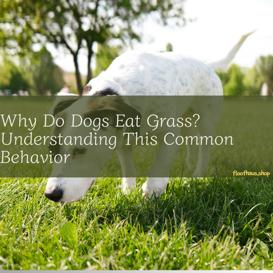 Why Do Dogs Eat Grass? Understanding This Common Behavior