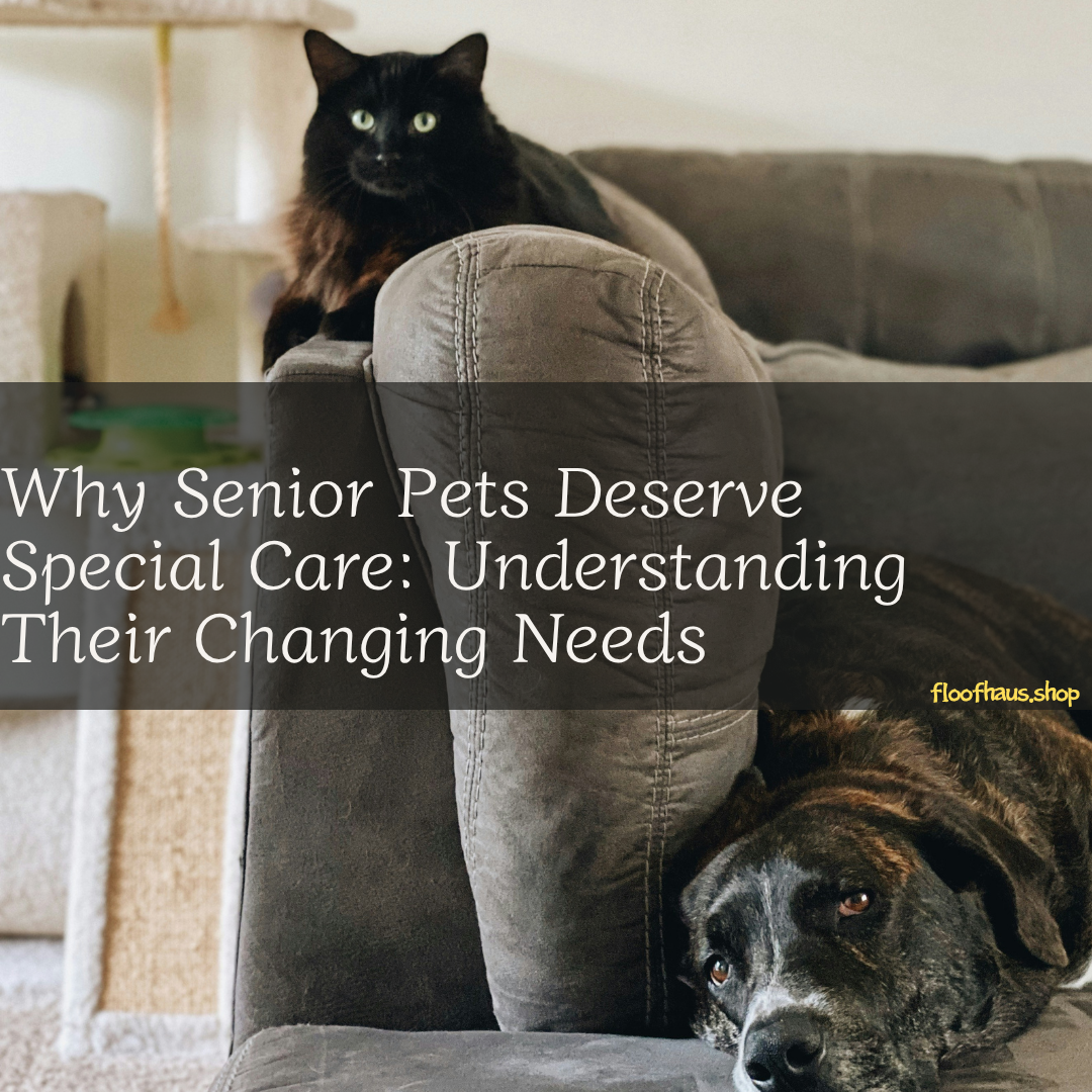 Why Senior Pets Deserve Special Care: Understanding Their Changing Needs