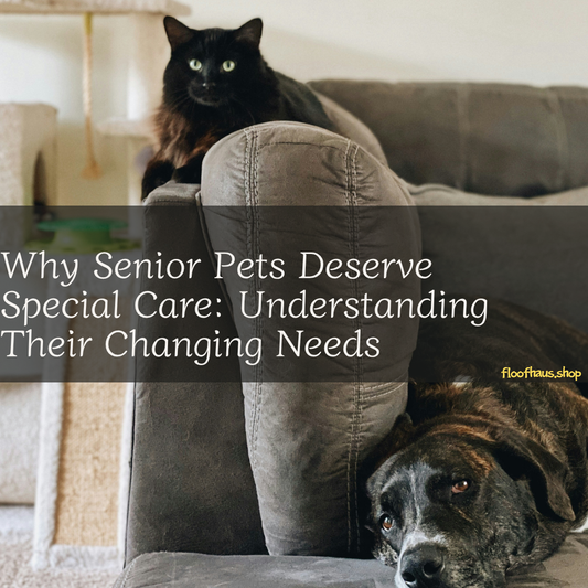 Why Senior Pets Deserve Special Care: Understanding Their Changing Needs