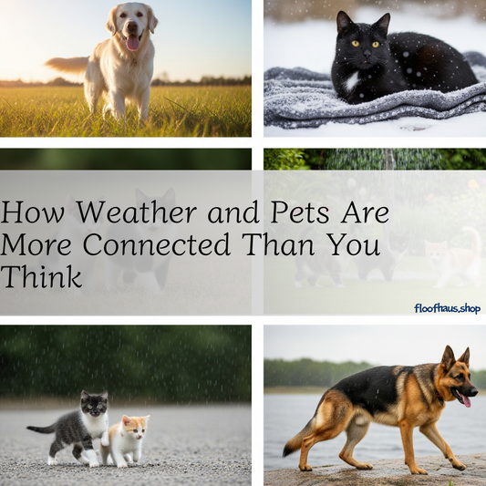 How Weather and Pets Are More Connected Than You Think