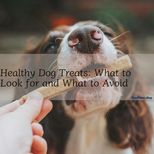 Healthy Dog Treats: What to Look for and What to Avoid
