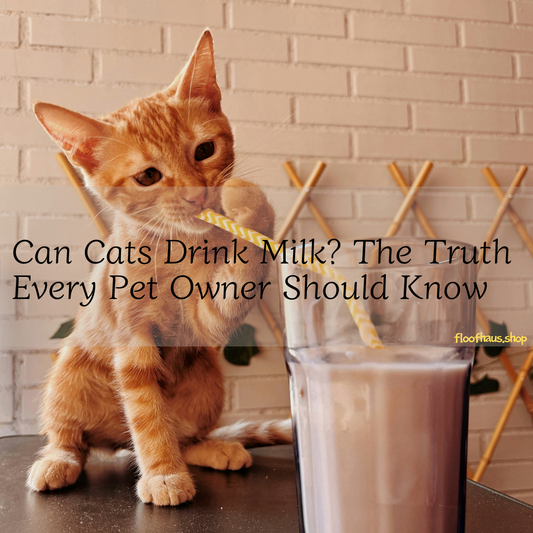 cat drink milk