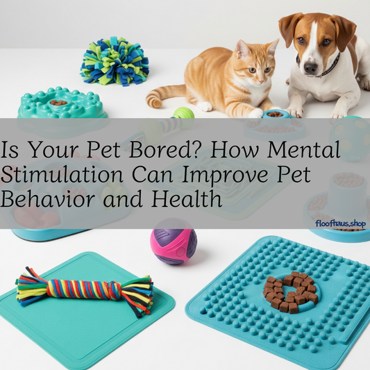 Is Your Pet Bored? How Mental Stimulation Can Improve Pet Behavior and Health