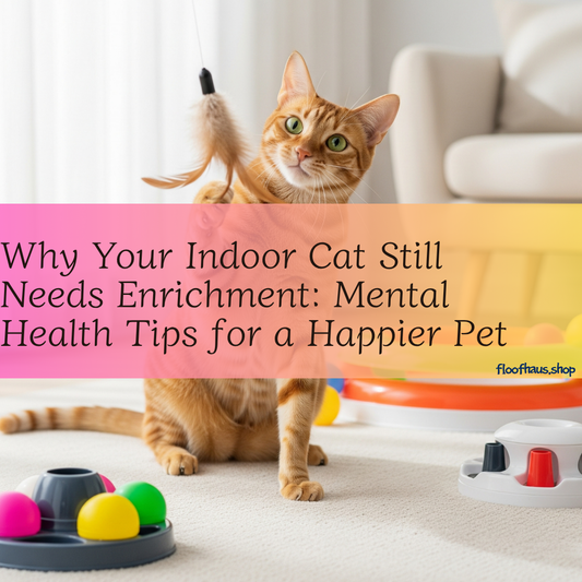 Why Your Indoor Cat Still Needs Enrichment: Mental Health Tips for a Happier Pet