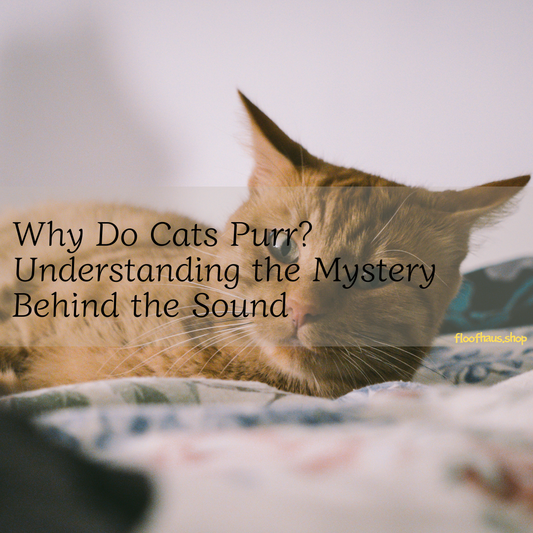 Why Do Cats Purr? Understanding the Mystery Behind the Sound