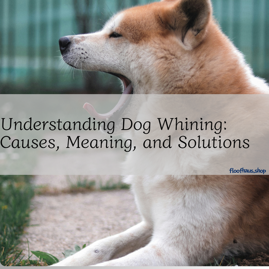 Understanding Dog Whining: Causes, Meaning, and Solutions