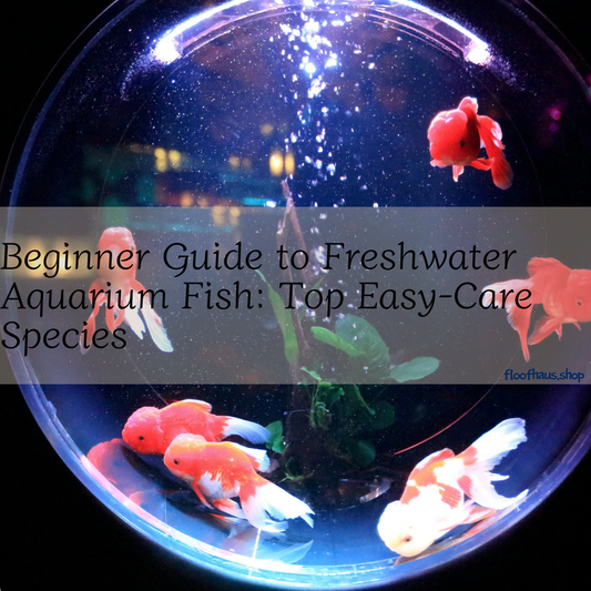 Beginner Guide to Freshwater Aquarium Fish: Top Easy-Care Species