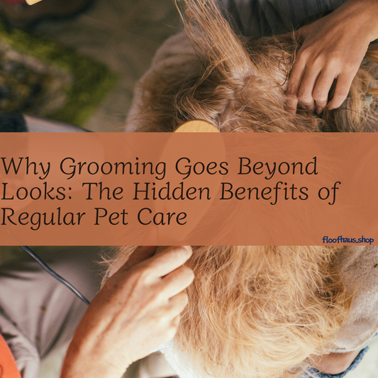 Why Grooming Goes Beyond Looks: The Hidden Benefits of Regular Pet Care