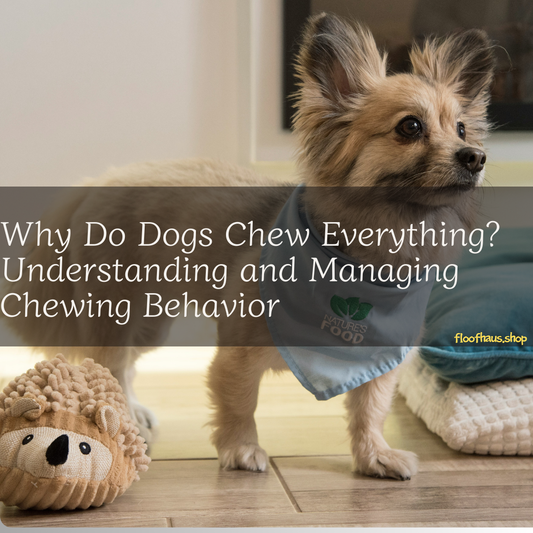 Why Do Dogs Chew Everything? Understanding and Managing Chewing Behavior