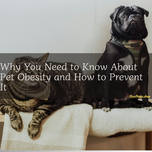 Why You Need to Know About Pet Obesity and How to Prevent It