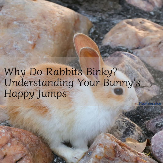Why Do Rabbits Binky? Understanding Your Bunny’s Happy Jumps