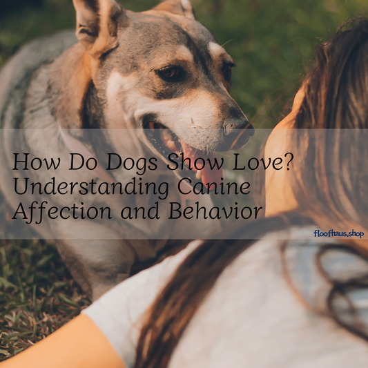 How Do Dogs Show Love? Understanding Canine Affection and Behavior