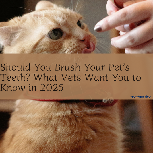 Should You Brush Your Pet’s Teeth? What Vets Want You to Know in 2025