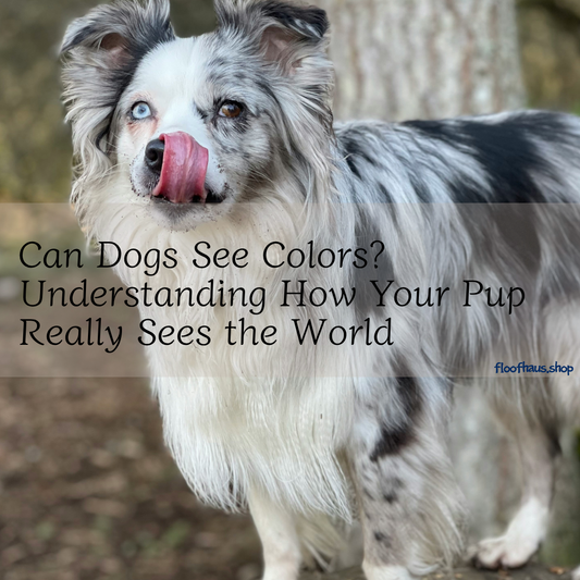 Can Dogs See Colors? Understanding How Your Pup Really Sees the World