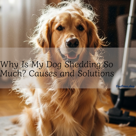 Why Is My Dog Shedding So Much? Causes and Solutions