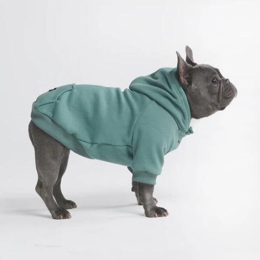 Spark Paws Dog Hoodie - Premium Quality, Buttery Soft, Superior Comfort and Fit, Calming Fleece Interior, Suitable for All Breeds - Teal - XL