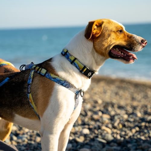 Wolfgang Heavy Duty Martingale Dog Collar with Quick Release Nylon Buckle for Walking & Training, DawnPatrol Print, Large