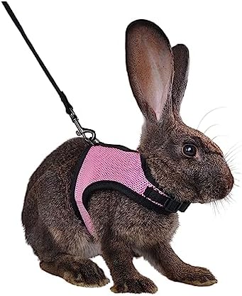 MANON ROSA Rabbit Harness and Leash Set - Adjustable Escape-Proof Training and Walking Gear for Guinea Pigs Bunnies Chinchillas Hamsters Ferrets Rats Kittens and Small Dogs Puppies Cats (Pink,S)