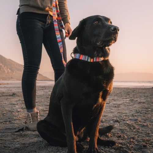Wolfgang Heavy Duty, Adjustable Dog Collar with Quick Release Nylon Buckle for Walking & Training, Quetzal Print, Large