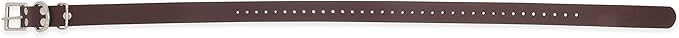 Educator Biothane Dog Collar, Waterproof, Odorproof, Metal Buckle and D Ring, Adjustable for Custom Fit, Cool and Comfortable, for Small, Medium, or Large Dogs, 1-Inch, Brown
