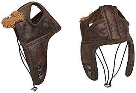 Leconpet Dog Aviator Hat, Dog Winter Pilot Hat with Ear Flaps for Cold Weather (S, Brown)