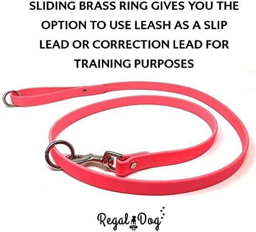 Regal Dog Products Large Pink Waterproof Dog Collar and Leash Set | Heavy Duty Double Buckle & D Ring - 5'ft Leash | Adjustable Biothane Chew Resistant Collar for Dogs