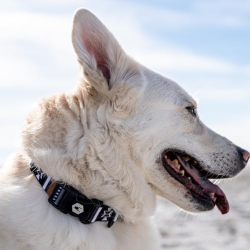 Wolfgang Heavy Duty Martingale Dog Collar with Quick Release Nylon Buckle for Walking & Training, NewMoon Print, Small