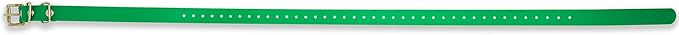 Educator Biothane Dog Collar, Waterproof, Odorproof, Metal Buckle and D Ring, Adjustable for Custom Fit, Cool and Comfortable, for Small, Medium, or Large Dogs, 3/4-Inch, Green
