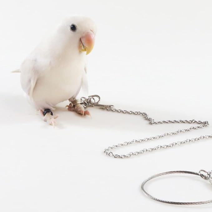 Bird Foot Chain Flying Stainless Steel Training Rope Outdoor Parrot Ankle Foot Ring Accessories Bird Harness Leash Prevent Escaping (4#)