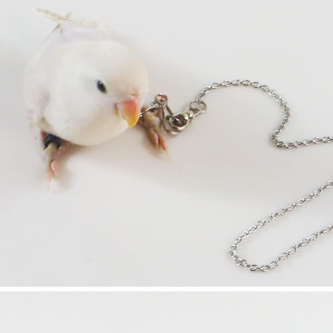 Bird Foot Chain Flying Stainless Steel Training Rope Outdoor Parrot Ankle Foot Ring Accessories Bird Harness Leash Prevent Escaping (6#)