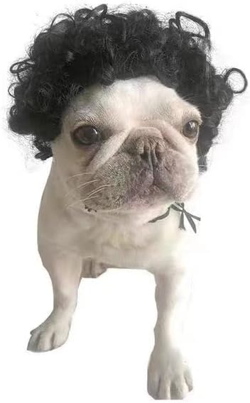 Spa Day Dog Costume Cosplay Wig, Curly Hair Pet Cat Wigs for Halloween Parties Dog Hats Wigs for Small Medium and Large Dogs Adjustable(Pet Head Circumference 6-27 inches)