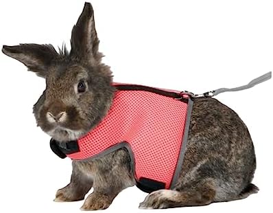 MANON ROSA Rabbit Harness and Leash Set - Adjustable Escape-Proof Training and Walking Gear for Guinea Pigs Bunnies Chinchillas Hamsters Ferrets Rats Kittens and Small Dogs Puppies Cats (Orange Red,L)