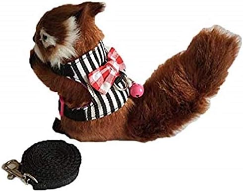 Litewoo Hamster Vest Harness and Leash Set Outdoor Walking Cute Bow-knot and Clear Bell Decor Chest Strap Harness for Rabbit Guinea Pig Chinchilla Ferret Squirrel Marten Kitten (MEDIUM,Black Stripe)