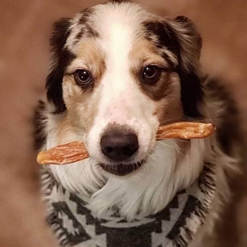Beef Tendons for Dogs Made in USA. 6-10 Inch Grass Fed Farm-Raised American Beef Dog Treats. All Natural Dog Dental Chews. Grain Free Odor-Free Beef Dog Chews 5 Count