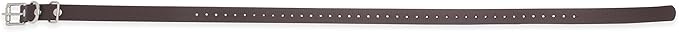 Educator Biothane Dog Collar, Waterproof, Odorproof, Metal Buckle and D Ring, Adjustable for Custom Fit, Cool and Comfortable, for Small, Medium, or Large Dogs, 3/4-Inch, Brown