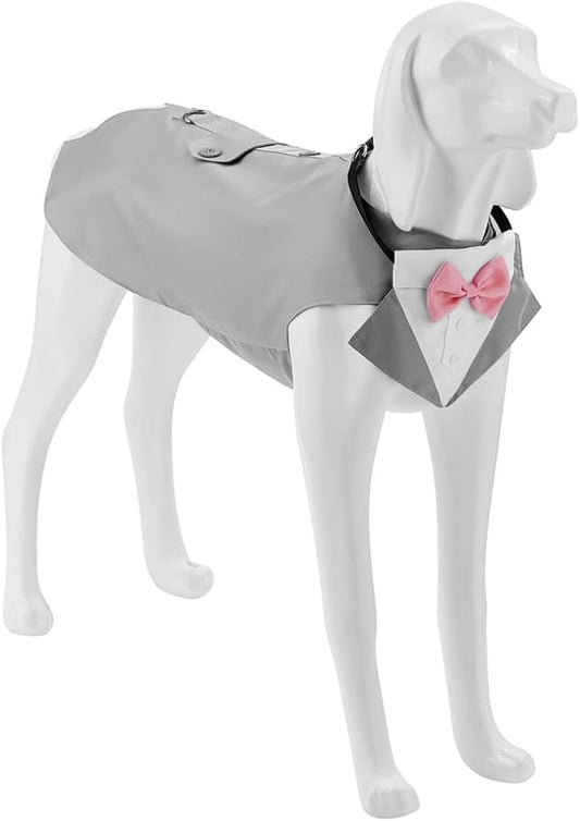Tuxedo Dog Collar for Wedding Engagement and Birthday, Formal Dog Bandana Collar Costume with Bow Tie and Adjustable Buckle,Suitable for Small Medium Large Dog. (Gray, M)
