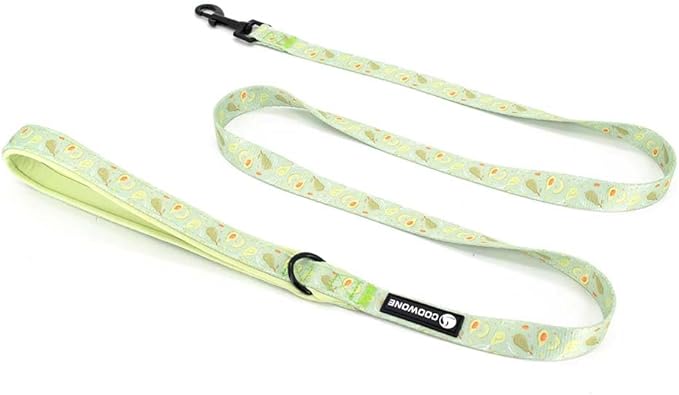 Dog Harness and Leash Set, Adjustable Dog Harness, Dog Leash, No Pull No Choke Puppy Harnesses for Walking Training for Small, Medium, Large Pet