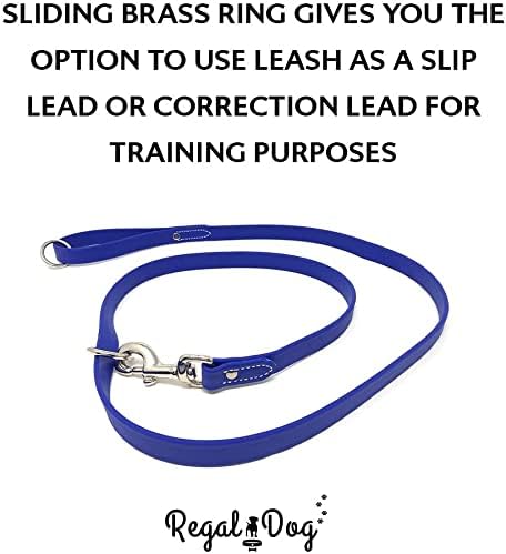 Regal Dog Products Small Blue Waterproof Dog Collar and Leash Set | Heavy Duty Double Buckle & D Ring - 5'ft Leash | Adjustable Biothane Dog Collar | Chew Resistant Waterproof Collar for Dogs
