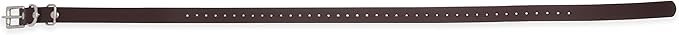 Educator Biothane Dog Collar, Waterproof, Odorproof, Metal Buckle and D Ring, Adjustable for Custom Fit, Cool and Comfortable, for Small, Medium, or Large Dogs, 3/4-Inch, Black