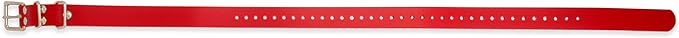 Educator Biothane Dog Collar, Waterproof, Odorproof, Metal Buckle and D Ring, Adjustable for Custom Fit, Cool and Comfortable, for Small, Medium, or Large Dogs, 1-Inch, Red