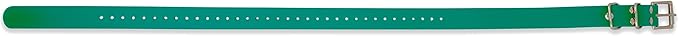 Educator Biothane Dog Collar, Waterproof, Odorproof, Metal Buckle and D Ring, Adjustable for Custom Fit, Cool and Comfortable, for Small, Medium, or Large Dogs, 1-Inch, Green