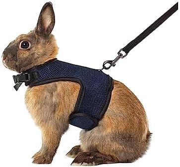 MANON ROSA Rabbit Harness and Leash Set - Adjustable Escape-Proof Training and Walking Gear for Guinea Pigs Bunnies Chinchillas Hamsters Ferrets Rats Kittens and Small Dogs Puppies Cats (Black,M)