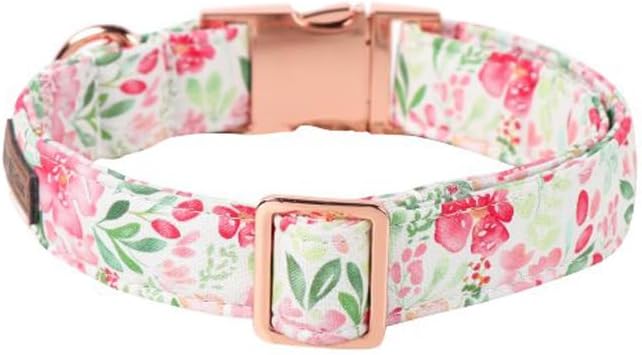Lionet Paws Dog Collar, Comfortable Adjustable Cute Collar with Metal Buckle for Male Female Dogs, Pink Flower, XLarge, Neck 16-26 inches
